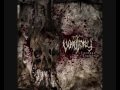 VOMITORY  - Rebirth Of The Grotesque