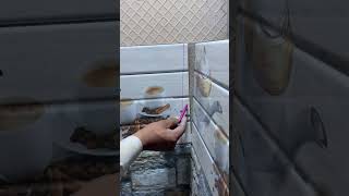 Tail's hack ⚓️💥                                #shorts #ytshorts #tails #trendingshorts