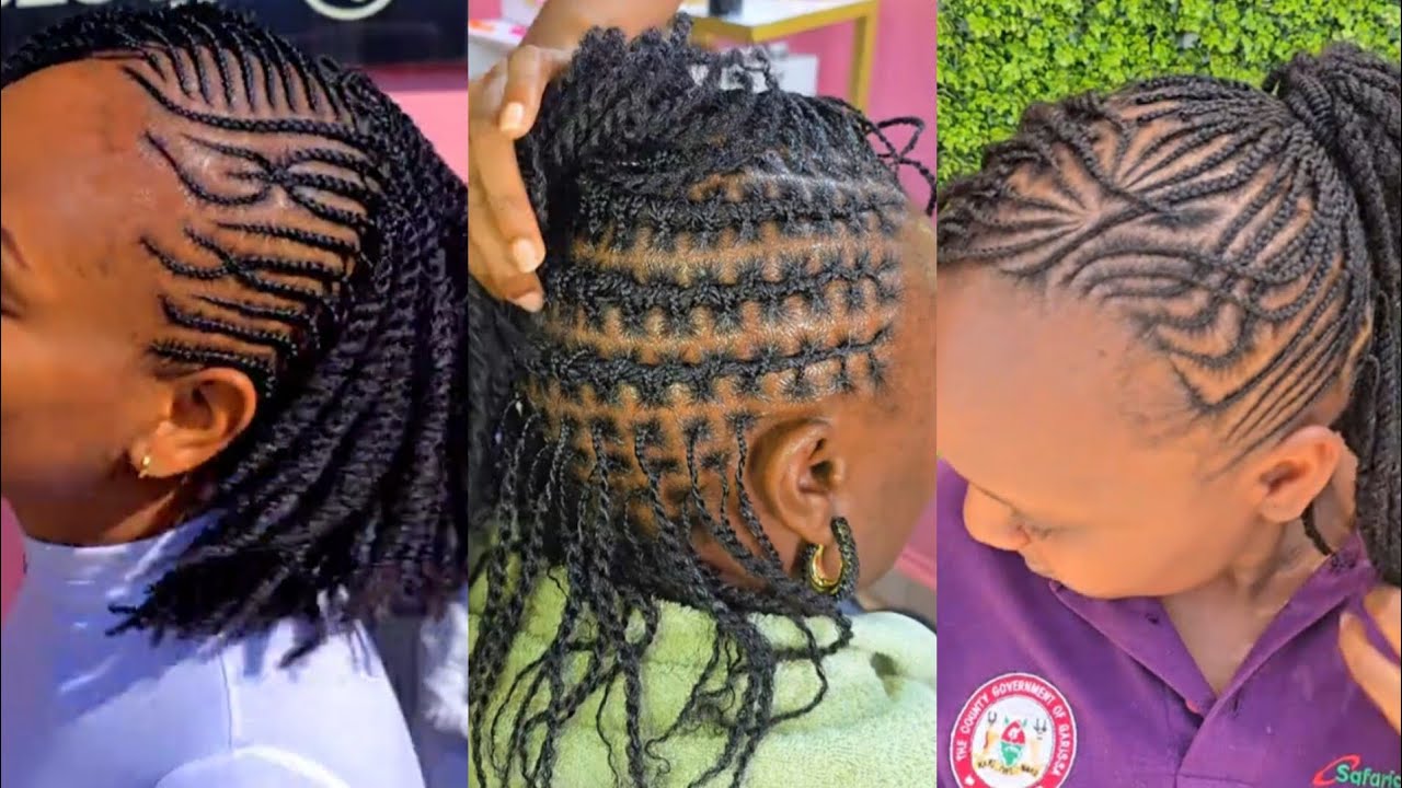 2026 classic natural twist hairstyles for black women | coolest two strands|natural protective style