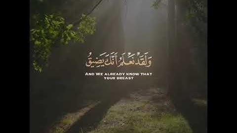 قرآن كريم بصوت هزاع البلوشي تلاوة هادئة 🌿😴 حالات واتس اب / Quran ststus || Quran kareem