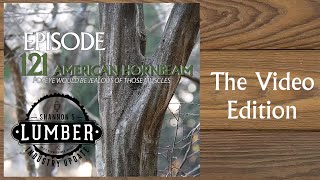 121 - Lumber Industry Update: American Hornbeam by RenaissanceWW 1,108 views 8 days ago 39 minutes