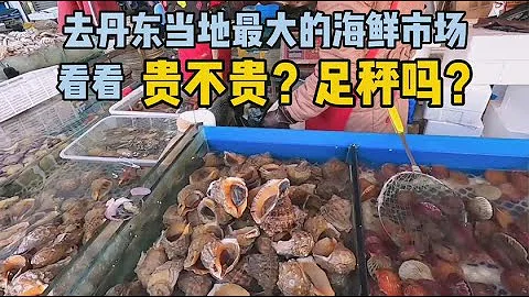带着秤逛丹东最大的海鲜市场，看看这里的海鲜贵不贵，足秤吗 - 天天要闻