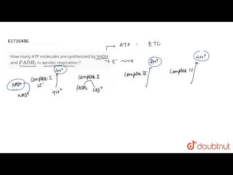 ვიდეო: არის NADH 2.5 თუ 3 ATP?