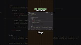 This is the MOST important coding principle. Net Worth