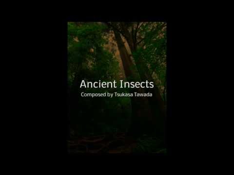 Tsukasa Tawada / Ancient Insects