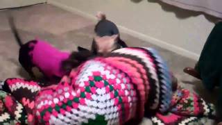 Margo, Polo Rita Get The Fart Machine.