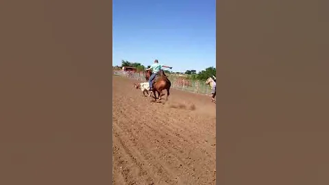 Roping 2012
