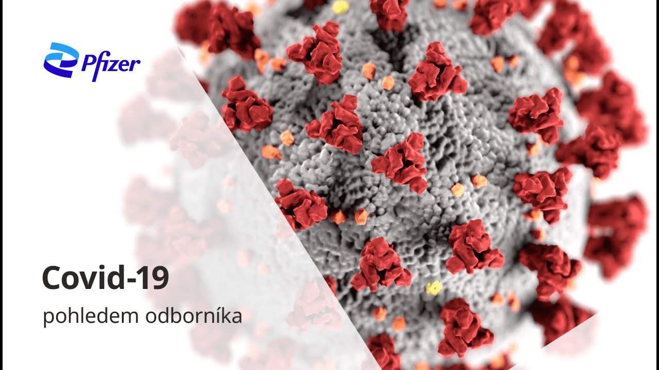 Covid-19 pohledem odborníka