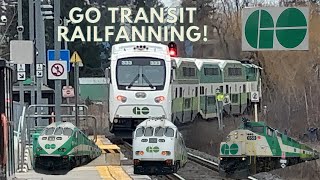 (F59PH 559, Equipment Moves, Powerful Horns, ETC) Go Transit Railfanning At The King City Go Station