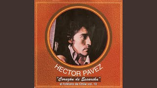 Miniatura del video "Héctor Pavez - El Tornado (2006 Remaster)"