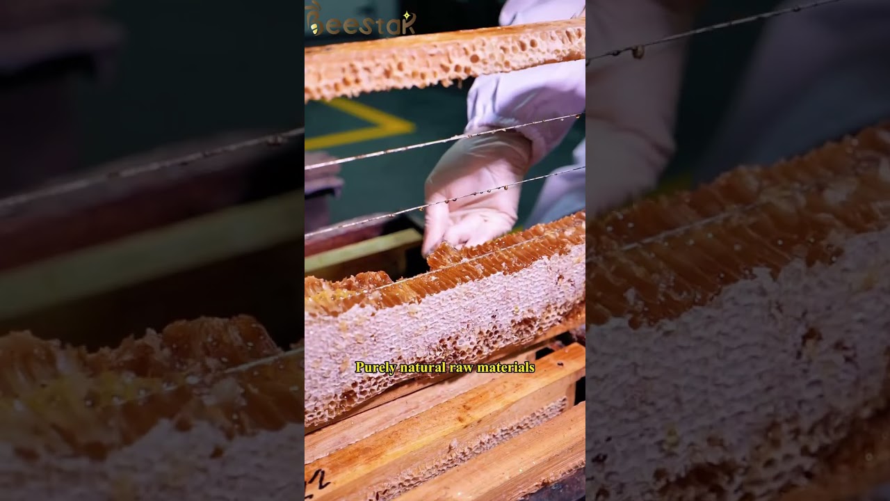 Wholesale High Quality 100% Natural Pure Bush forest Honey No Additives Natural Bee Honey