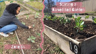 Starting a Raised Bed Garden | Zone 8a | Community Garden