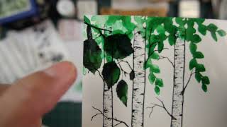 Stampscapes 101: Video 801 Stamp Sketching with Nature Set 27