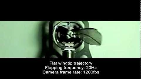 High-speed Videos of Insect-like Flapping-wing Apparatus (the 