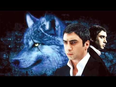 موسيقى كلاسيكية وادي الذئاب 2 