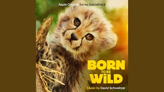 Born To Be Wild