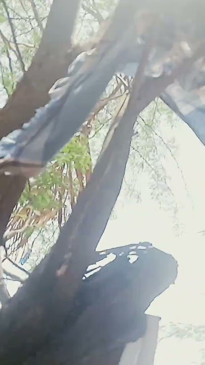 Download lagu 10 September 2024