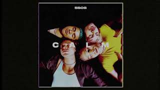 Download Lagu 5 Seconds Of Summer - Lonely Heart (Official Instrumental + BV) MP3 Download Lagu 5 Seconds Of Summer - Lonely Heart (Official Instrumental + BV) MP3