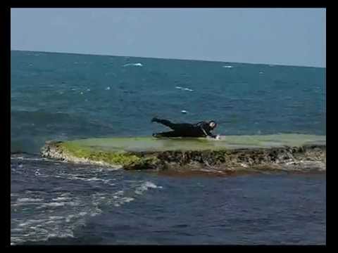 SEAL.wmv