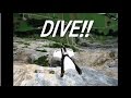 衝撃映像1 スリリング動画