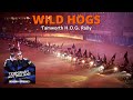 Wild Hogs // Temporary Australians // Full Episode 01/2015