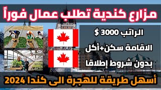 مزارع كندية تطلب عمال عرب براتب 3000 دولار| بدون شروط إطلاقا| الهجرة إلى كندا 2024