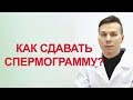 Как сдавать спермограмму