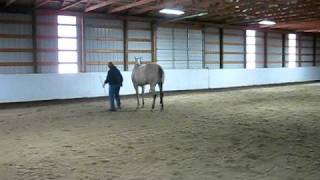 MVI_6467.AVI