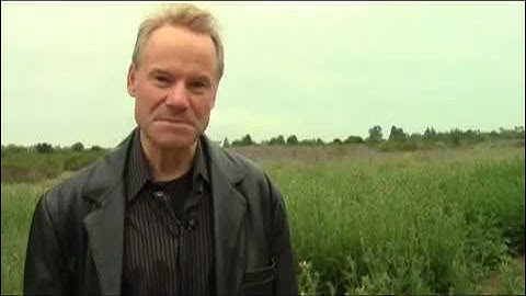 Christopher Walken does HAIKU by impressionist Jim Meskimen