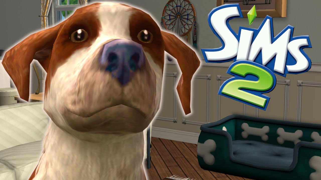 Remember when dogs could have jobs? //Sims 2 pet careers YouTube