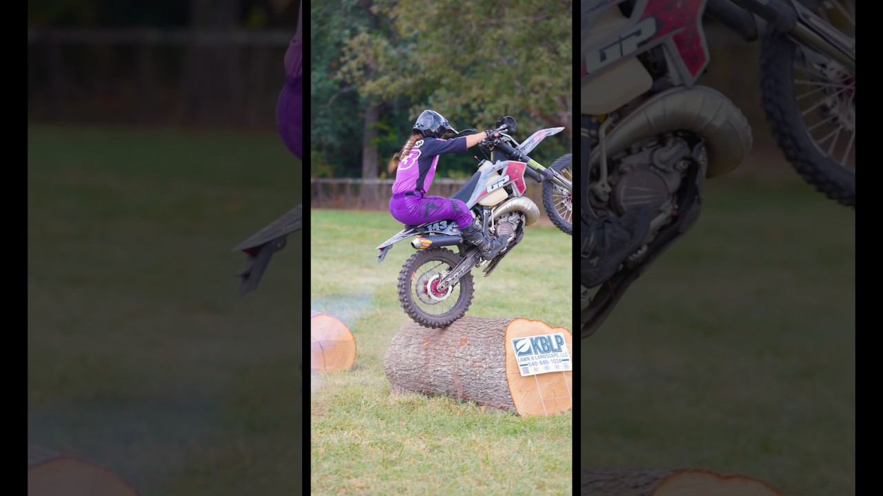 Giant log on the GPX TSE 300