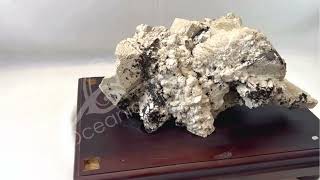 Albite Specimen With Green Mica Black Tourmaline From India On Wood Base