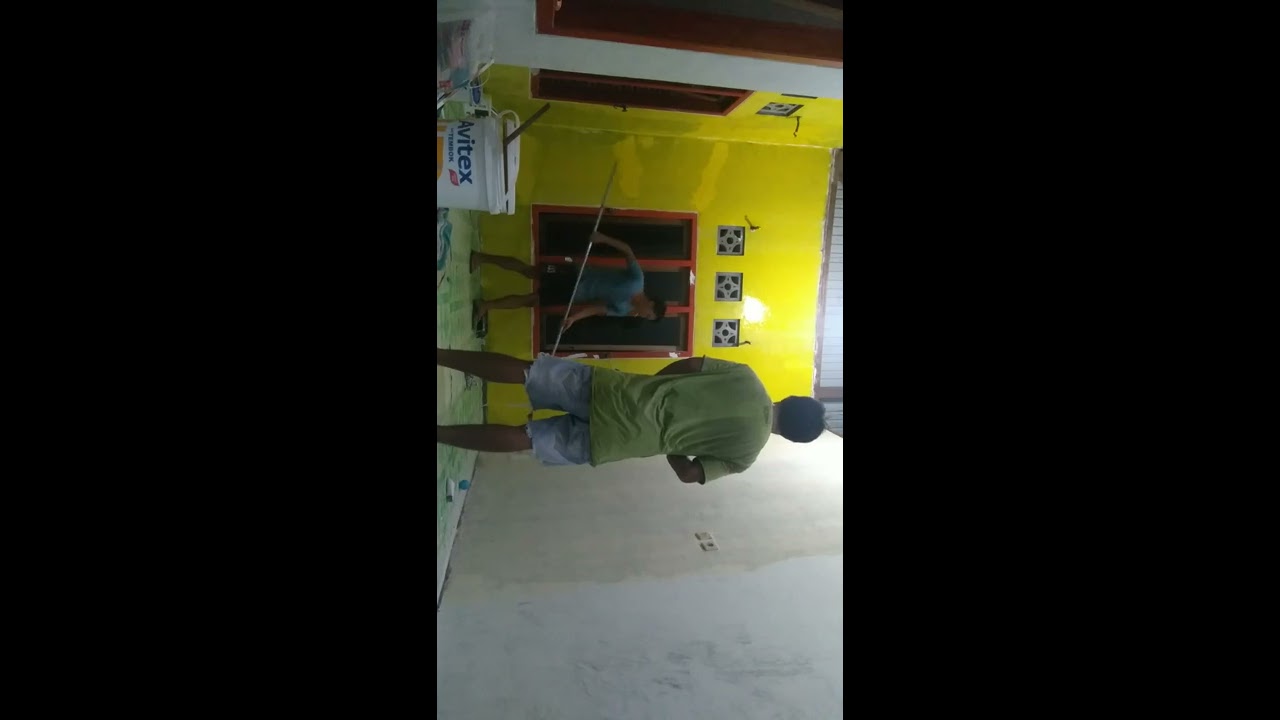 cat tembok - YouTube