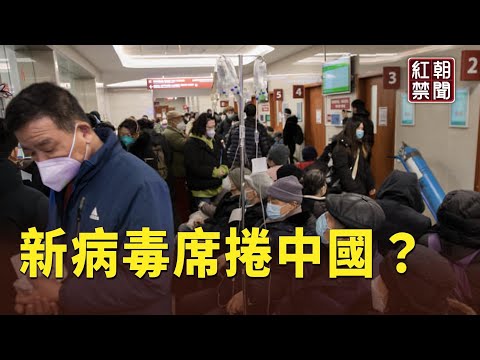 恶梦再来 新病毒席卷中国 社媒叹：谁能躲过？【红朝禁闻】