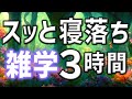 【眠れる男性の声】スッと寝落ちしたい貴方へ雑学朗読3時間【睡眠用・寝ながら聴ける】