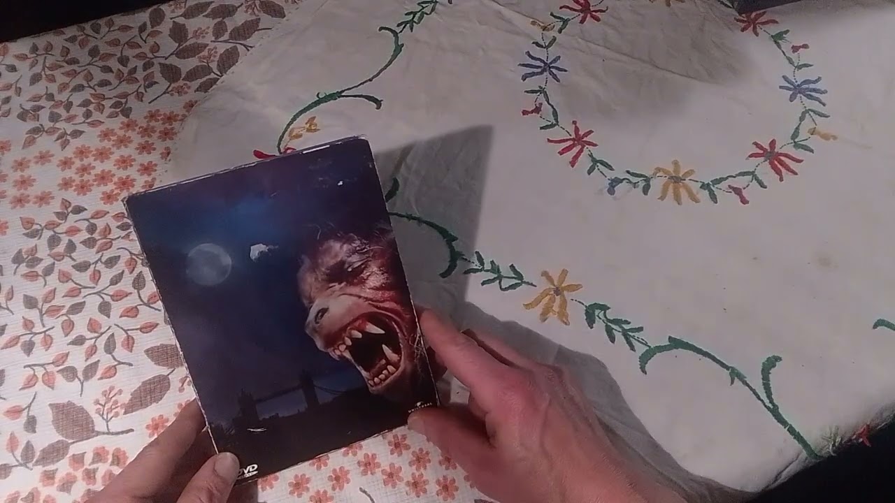 Meine DVD/Blueray -Sammlung Teil 7