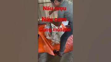 Nấu rượu - nấu cơm cùng một nồi - nồi hơi nấu rượu bằng bảy Sđt 0976713638 #shorts
