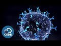 First In Human EP1 (6/6) | What is a CAR T Cell?