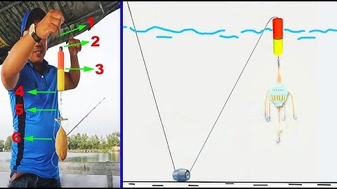 Cách Set Up Đường Trục Câu Cá Mè Đơn Giản Nhất Cho AE Mới Tập Câu