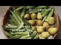 【カントリーな暮らしVlog #7】白いちじくのドライフルーツとオクラの野菜チップ作り。テラスの机と椅子のペンキ塗り替え