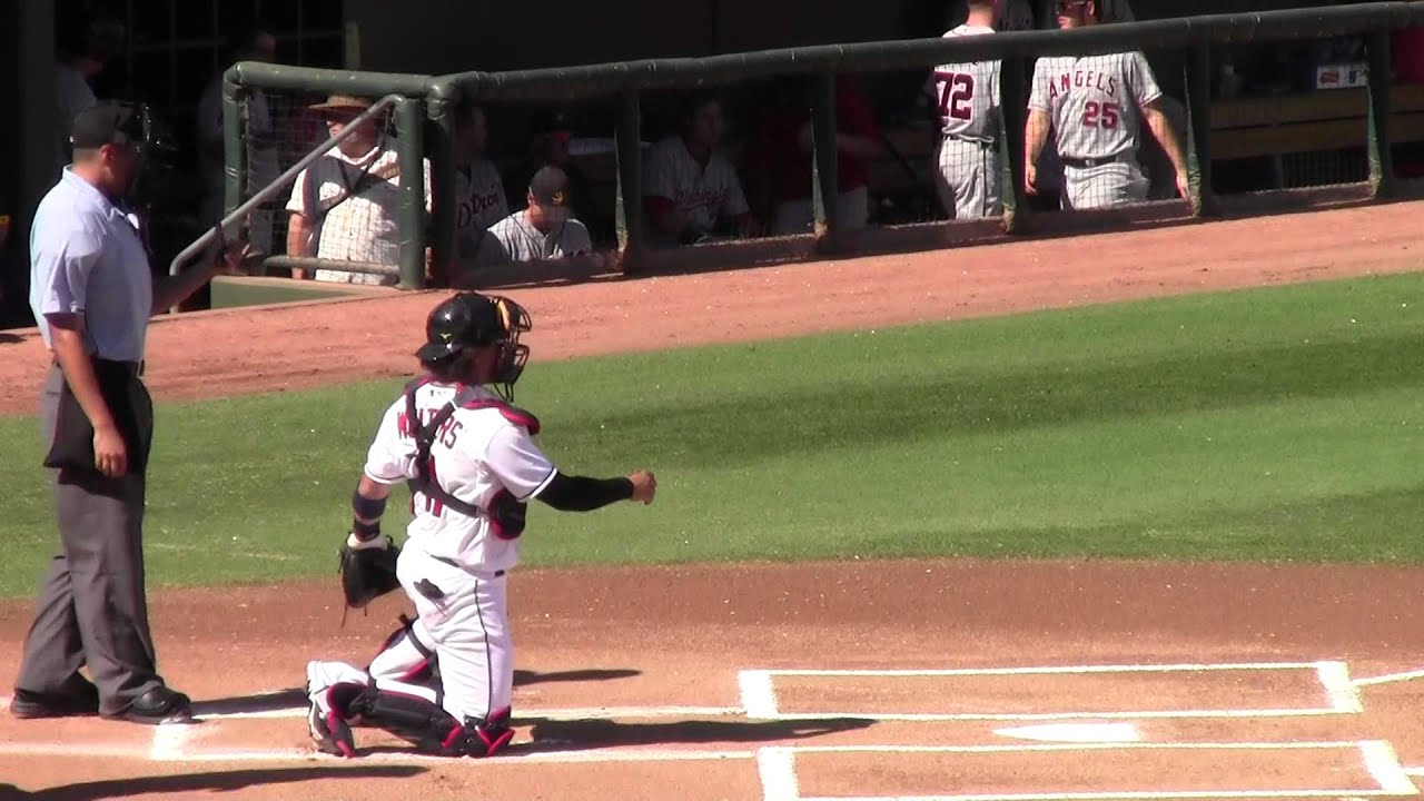 00268 tony wolters I B I AFL 2013