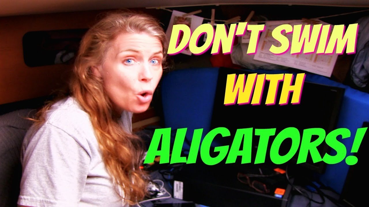 #188 Never Swim with Alligators!