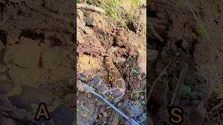 Dangerous Snake Rescue Operation in Residential Area | Must Watch #Shorts