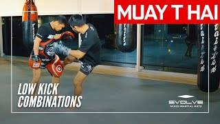 Muay Thai Training Series Muay Mat Low Kick Combination