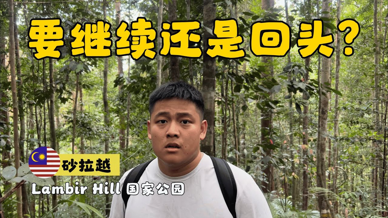 雨季爬这座砂拉越的山，我们一度想放弃…｜Lambir Hill National Park