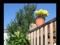 HuggerMount Deck Baluster Flower Pot Holder HuggerMount Deck Baluster Flower Pot Holder