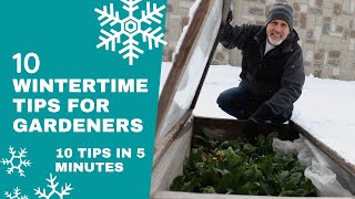 10 Tips for Gardeners in Winter