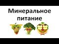 9. Минеральное питание (6 класс) - биология, подготовка к ЕГЭ и ОГЭ 2019