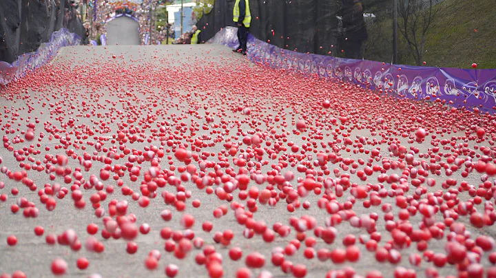 2014 Cadbury Jaffa Race