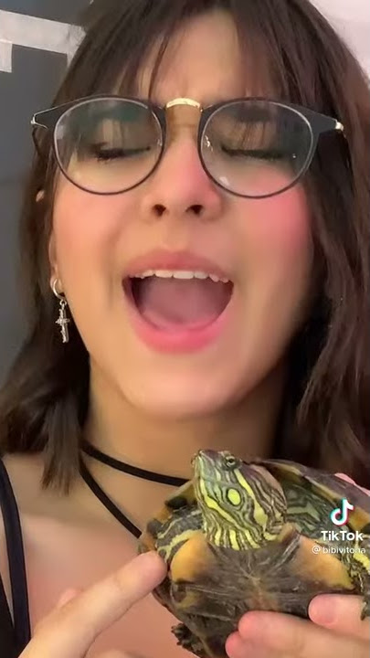 Manda a 🐢 gemendo